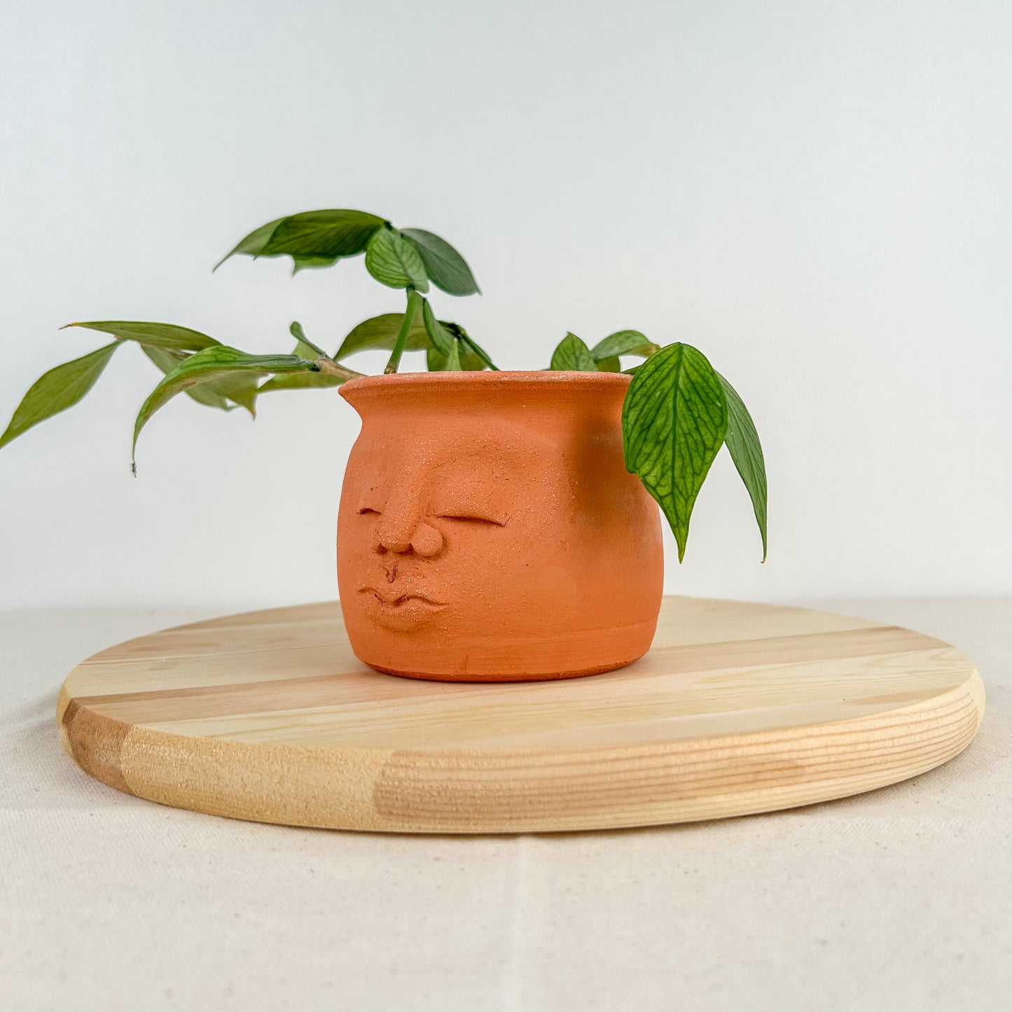 Terracotta Sun Pot Sm 005